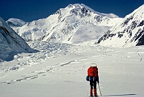 Approaching Great Icefall on the Muldrow Glacier